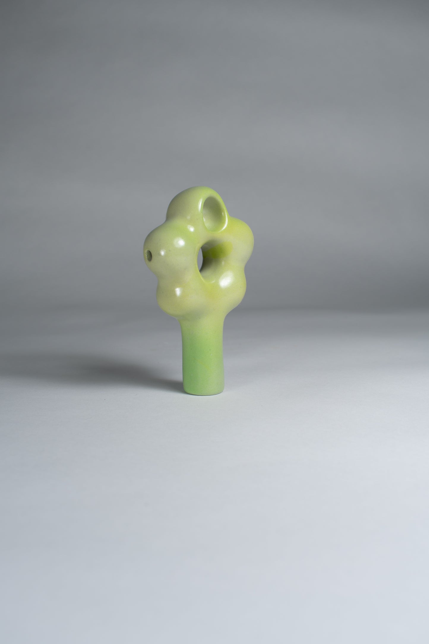 Lime Daisy