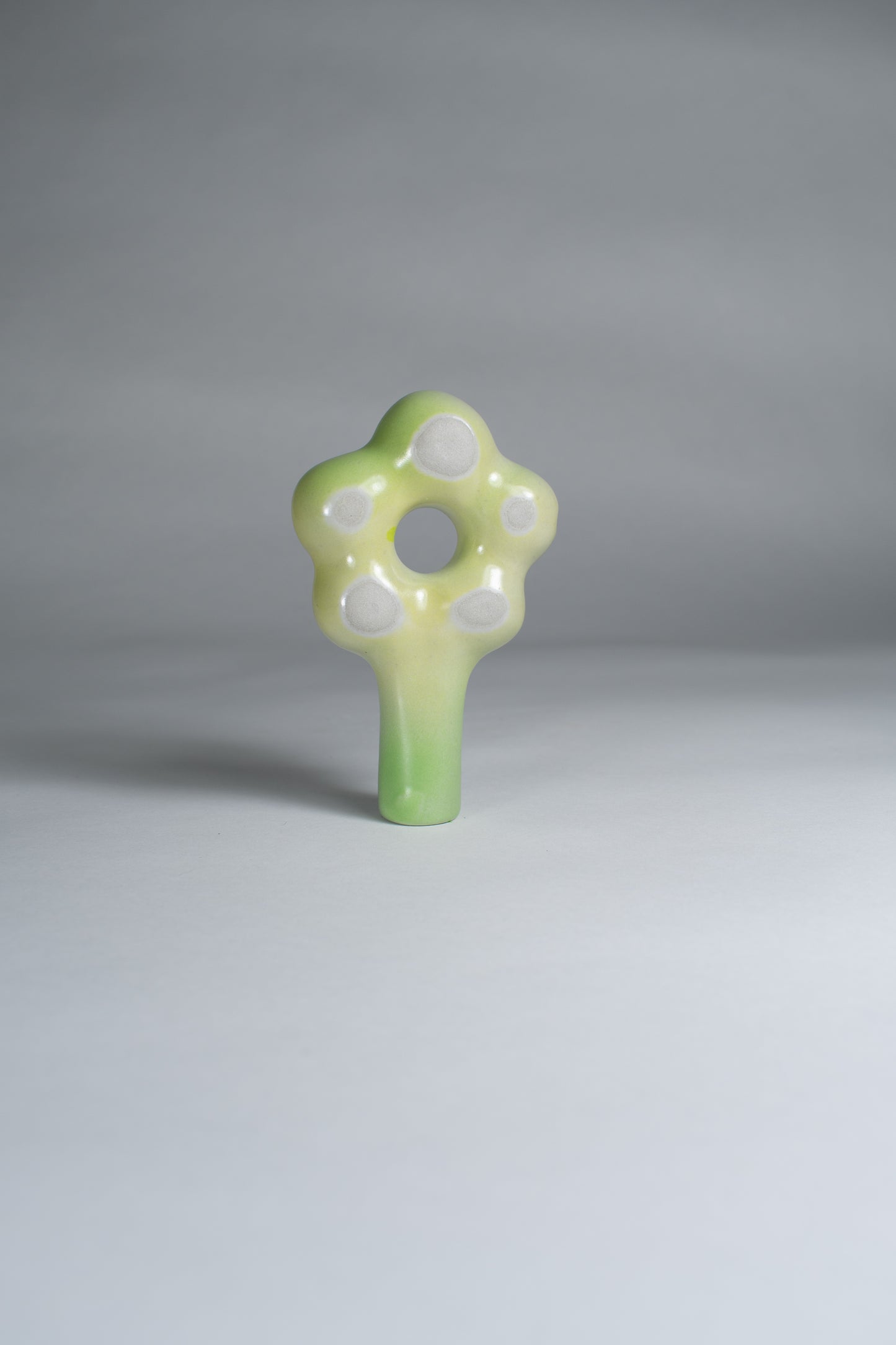 Lime Daisy